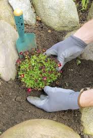 Tips On Soil Prepping A Rock Garden Bed