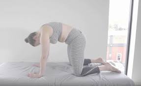 Why is the cat cow stretch good for back pain. Exploring Cat Cow Pose With Modifications Laura Meihofer