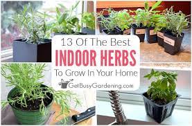 13 Best Herbs To Grow Indoors Get
