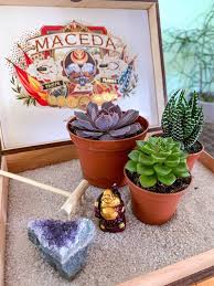 Diy Succulent Zen Garden Kit Gift Set