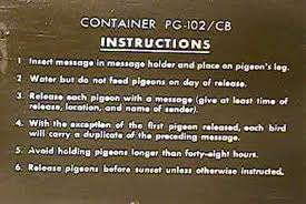 Pigeons Everything There Is To Know About The Pigeon Pcrc