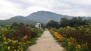 Di sisi kiri dan kanan terdapat kebun jati yang daunnya meranggas. 20 Tempat Wisata Sukoharjo Terbaru Lagi Hits 2021 Ranggawisata