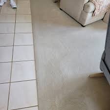 carpet cleaning in pinellas park