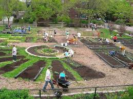 Community Garden Ideas For Inspiration