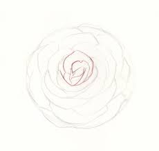 It's easy to create indentations in the. How To Draw Roses An Easy And Complete Step By Step Drawing Demo