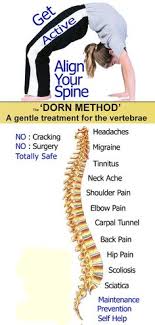 17 Best Dorn Method Images Massage Therapy Therapy
