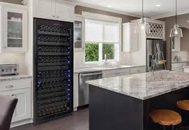 dual zone wine fridge