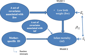 low birth weight and infant mortality