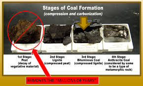 coal formed rapidly in a lab inside of