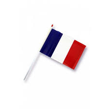 Drapeau français Officiel à agiter - Drapeau Officiel - MACAP