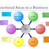The Role of Managers in Each Functional Area of Business
