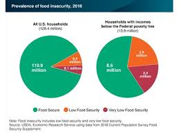 Us Just Under 40 Percent Of Low Income Households Food Insecure