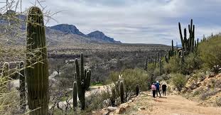 9 best things to do in scenic tucson