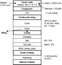 Cheddar Cheese An Overview Sciencedirect Topics