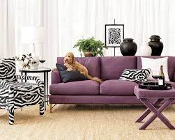 best sofas for dogs cool couches