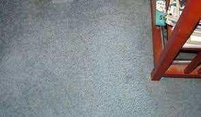 abc carpet cleaners rapid city sd