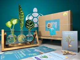 Plant Propagation Station Gift Box