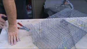 homemade crayfish trap thats easy and