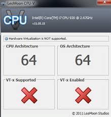 how to enable hardware virtualization