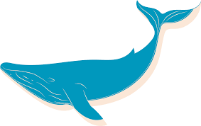 big blue whale cartoon design