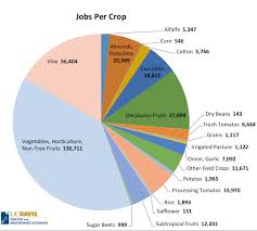 Jobs Per Drop Irrigating California Crops California Waterblog
