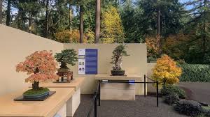 top 25 ultimate bonsai gardens in the
