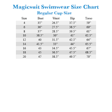 Magicsuit Solid Parker Swimdress One Piece Zappos Com