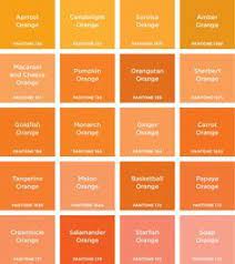 We did not find results for: Assorted Orange Hues Light Orange Paint Orange Paint Colors Orange Color Palettes