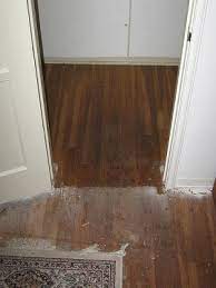 water stains on your hardwood floors