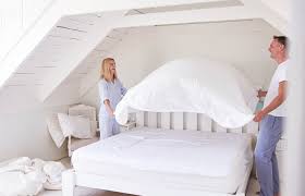 Check spelling or type a new query. Mattress Protectors Are A Necessity For Every Bed
