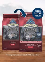 salmon for dogs dry food