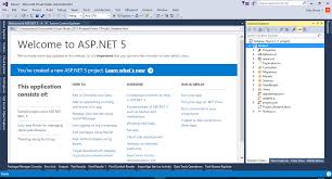 asp net 5 create web application step