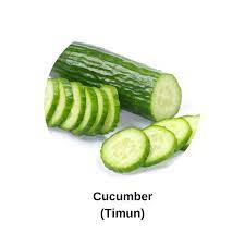 Cucumber (Timun) - #PlantUpPenang
