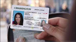 license or id card at dol wa gov