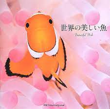 世界の美しい魚 | 松浦啓一 |本 | 通販 | Amazon