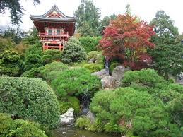 anese tea garden