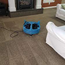 carpet cleaning in grants p