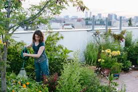 The Rise Of Edible Gardening In Melbourne