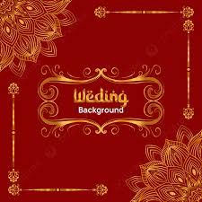 indian wedding invitation carddian card