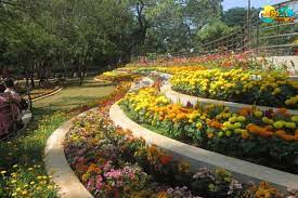 The Pondicherry Botanical Garden In
