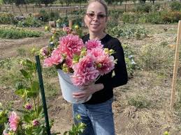 Listings In Flower Farmers And Supplier