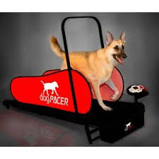 treadmills for dogs alta tollhaus