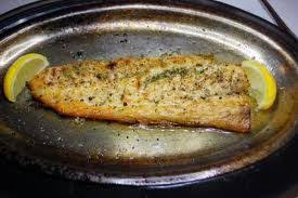 broiled speckled trout on bakee com
