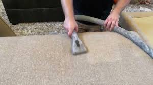 upholstery cleaning jonquil rug