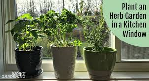 kitchen window and grow herbs