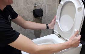 How To Replace Toilet Seat Avg Cost