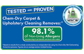 green carpet cleaning portland or