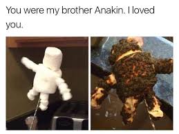 Here you may to know how to roast your brother. Everytime You Roast Marshmallows R Prequelmemes Prequel Memes Know Your Meme