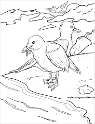 612x767 elegant seagull coloring page in download coloring pages 235x152 flying seagull coloring page things that fly stamps Seagulls Coloring Pages Coloringbay
