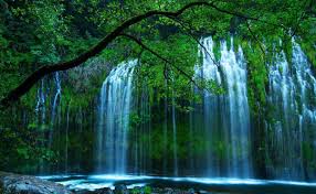 animated waterfall wallpapers top